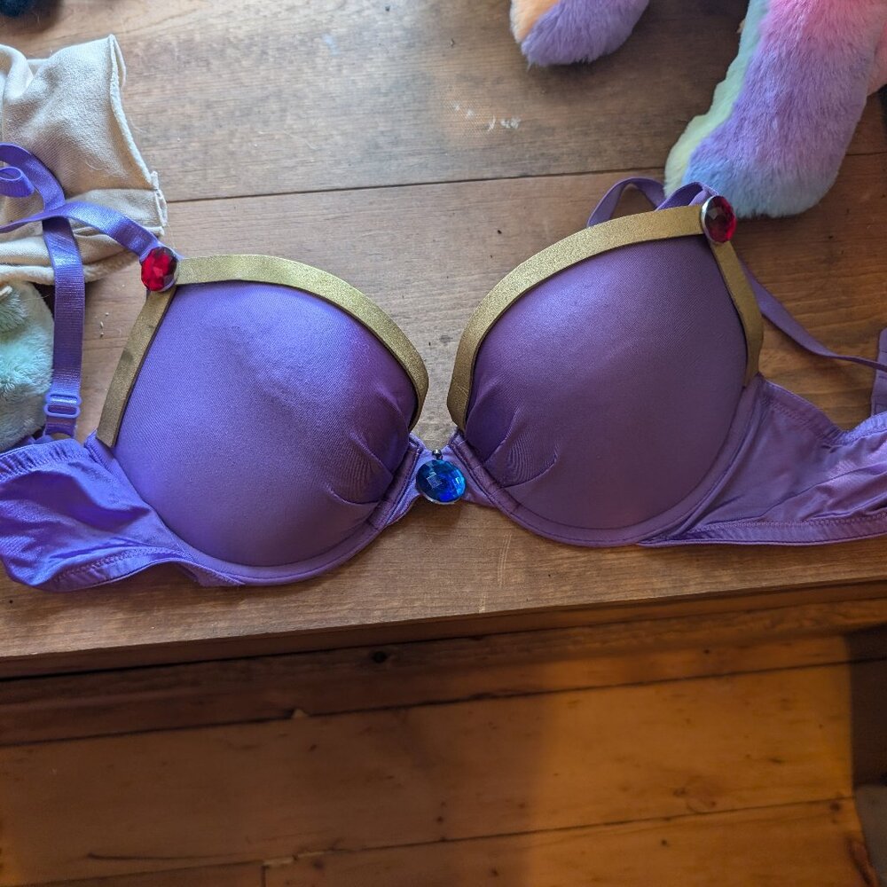 Zelda Bra Halloween Costume